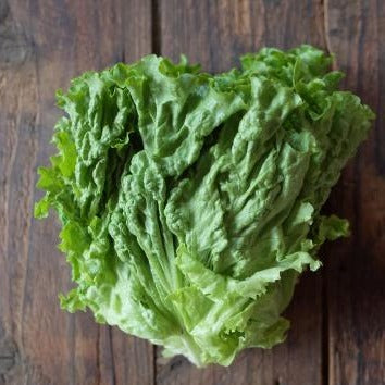 自然栽培リーフレタス (山崎さん)