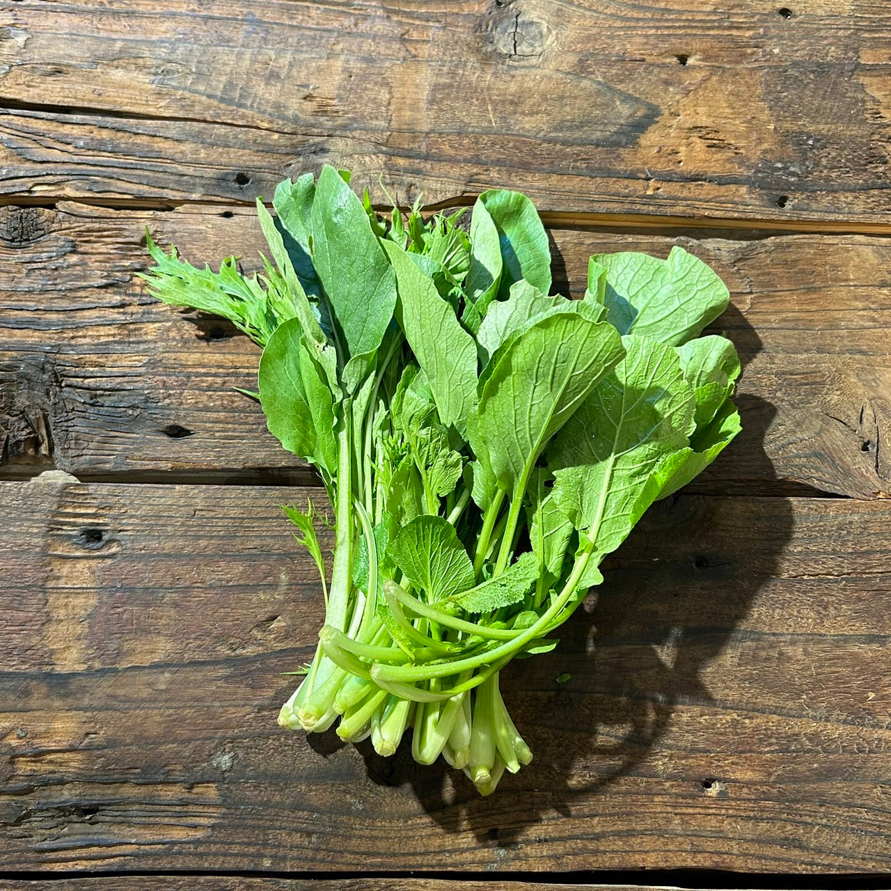 自然栽培ミックスリーフ(坂田さん)