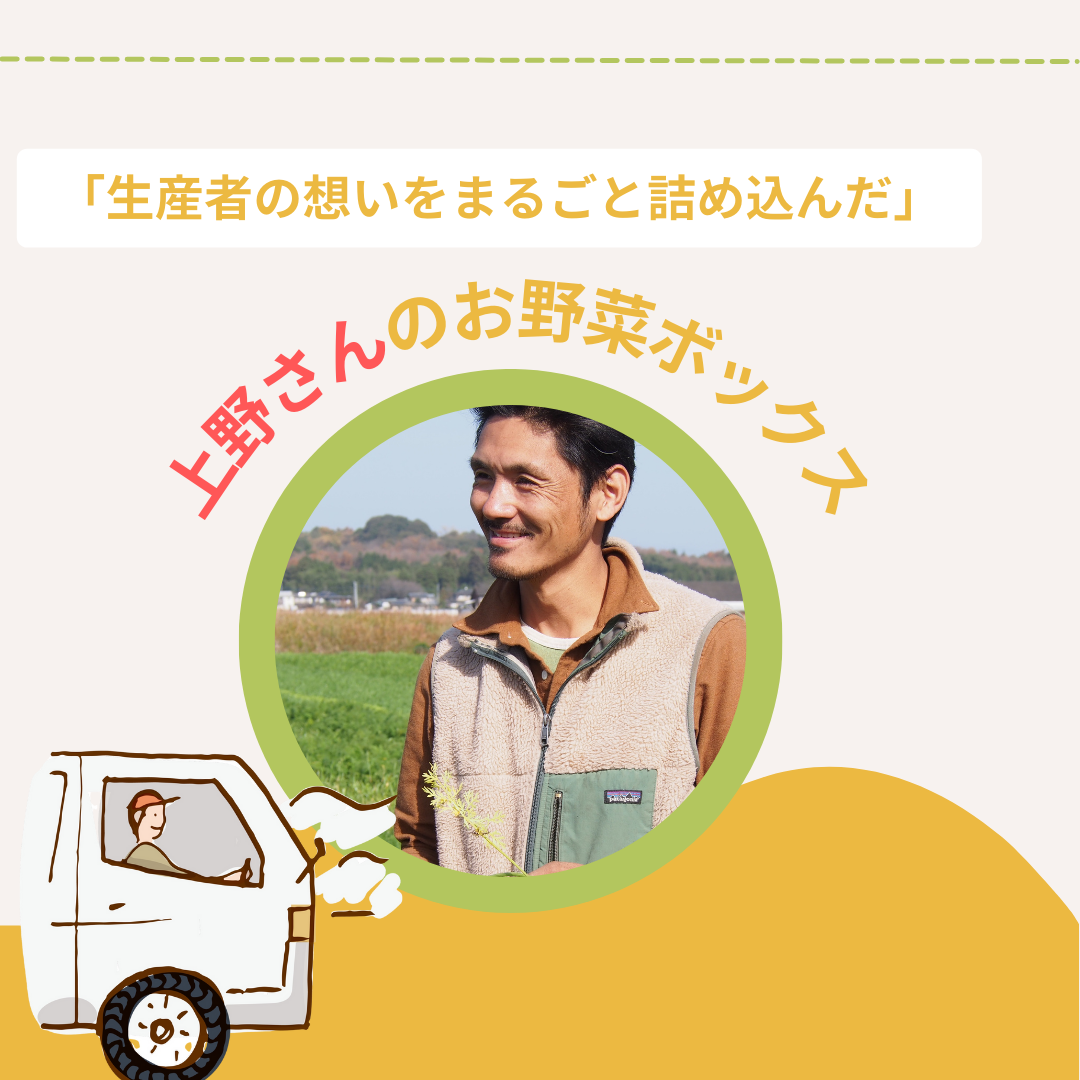 上野さん家の年末ジャンボBOX (5品目)