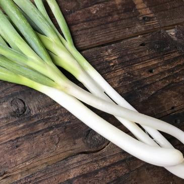 自然栽培 白長ネギ(中西農園)