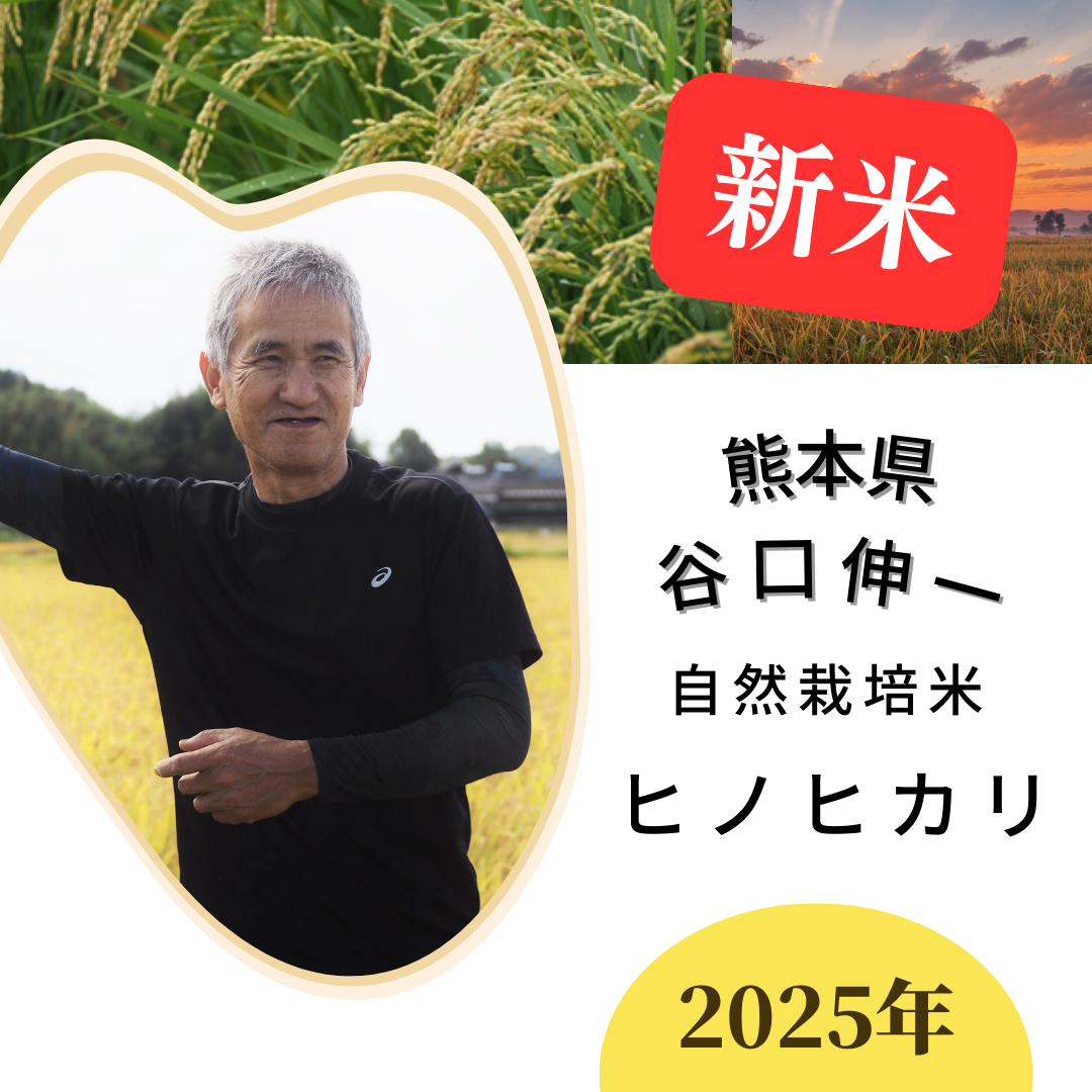 ◎【2025年米】谷口伸一さん 自然栽培米ヒノヒカリ（通常販売用 