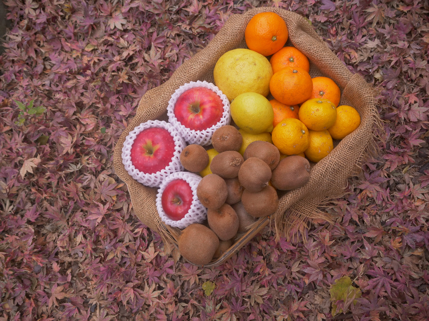 フルーツ盛り合わせボックス(4~6品目)