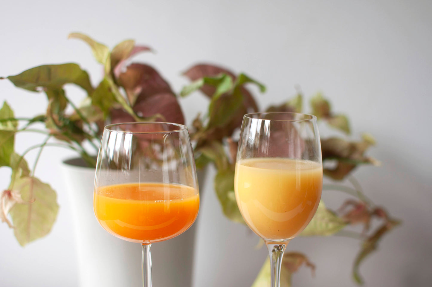 \お買い得/ 不知火オレンジジュース 270ml×6本