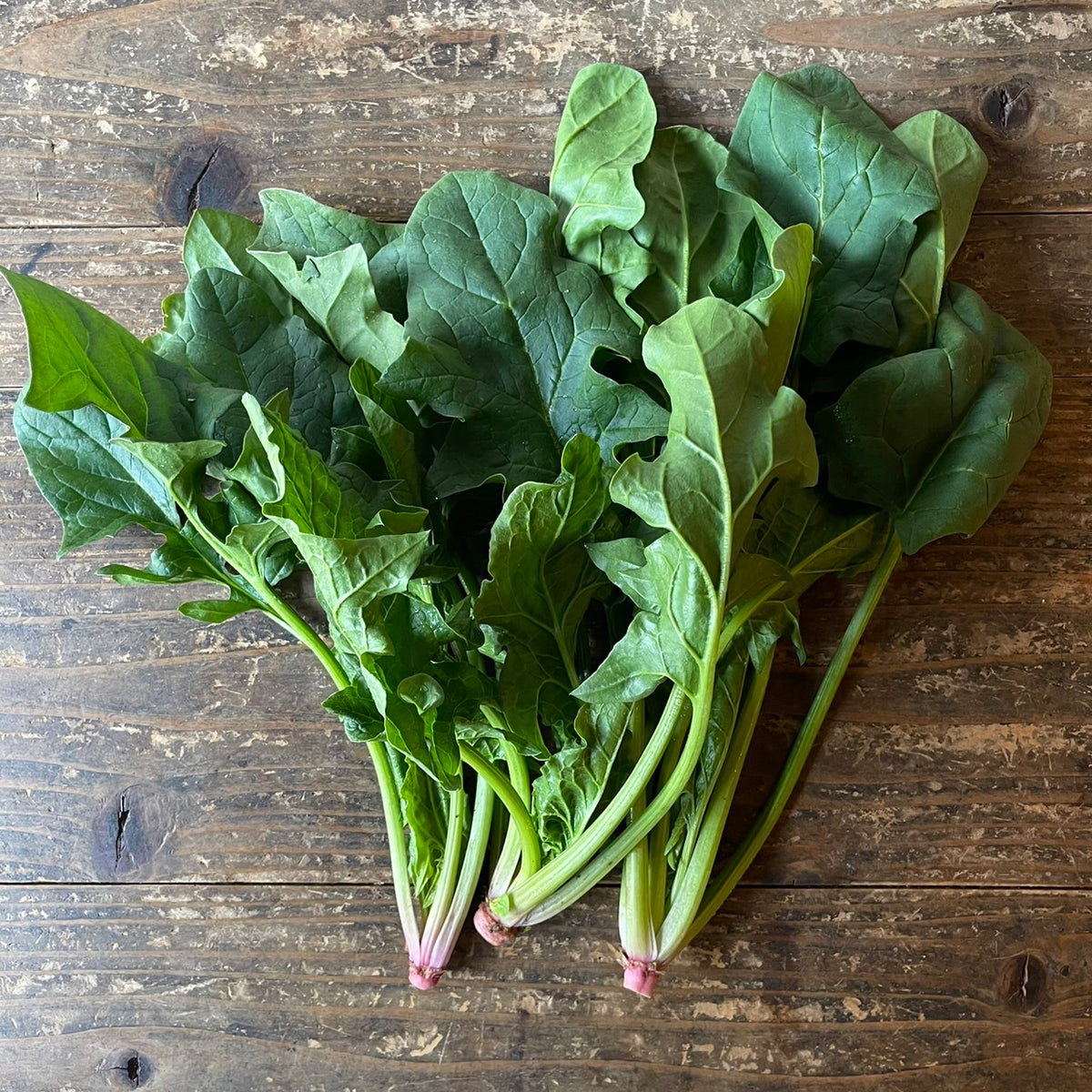 Organically Grown Spinach