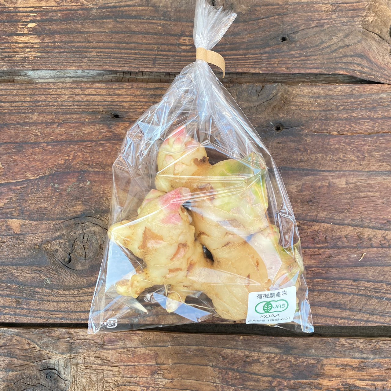 有機栽培 新生姜 200g・1kg(森田さん)