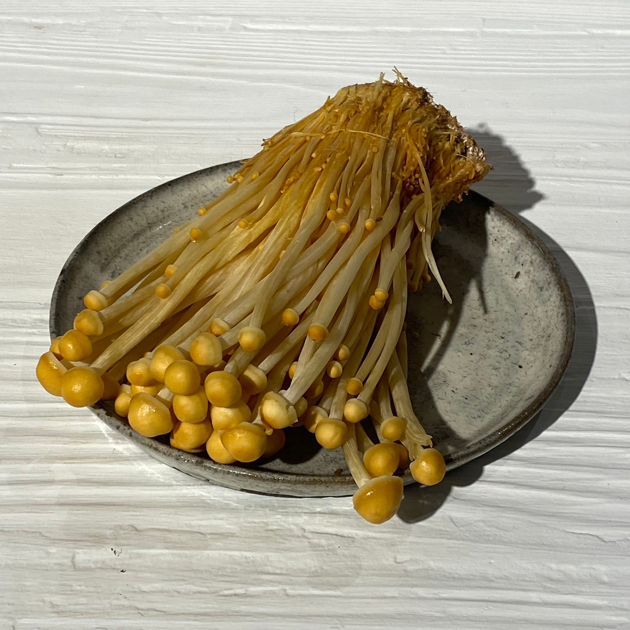 ブラウンえのき