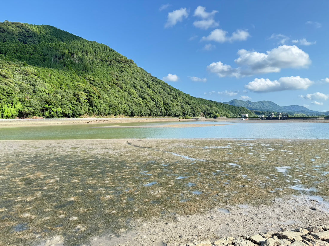 海の環境までも守り続けています
