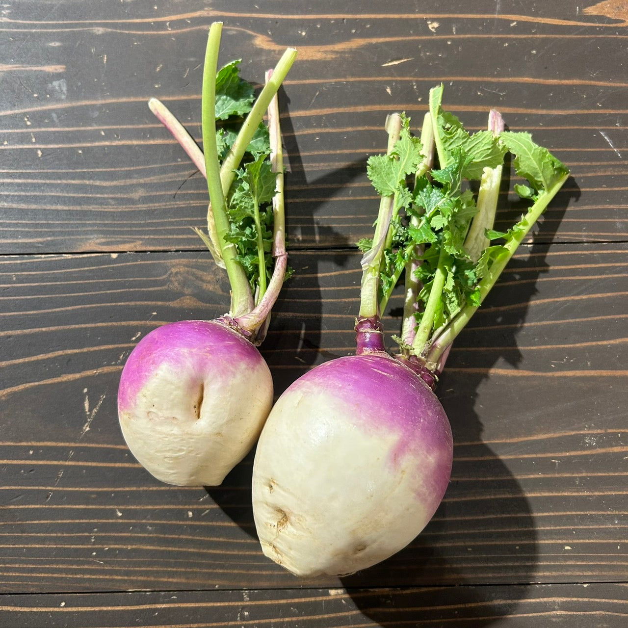 自然栽培 カブ(上野さん)