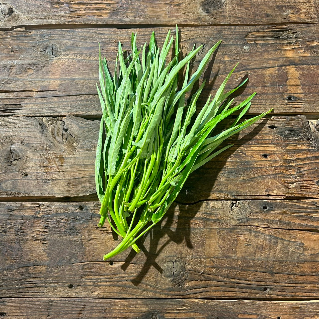 Naturally grown water spinach (by Sakata)
