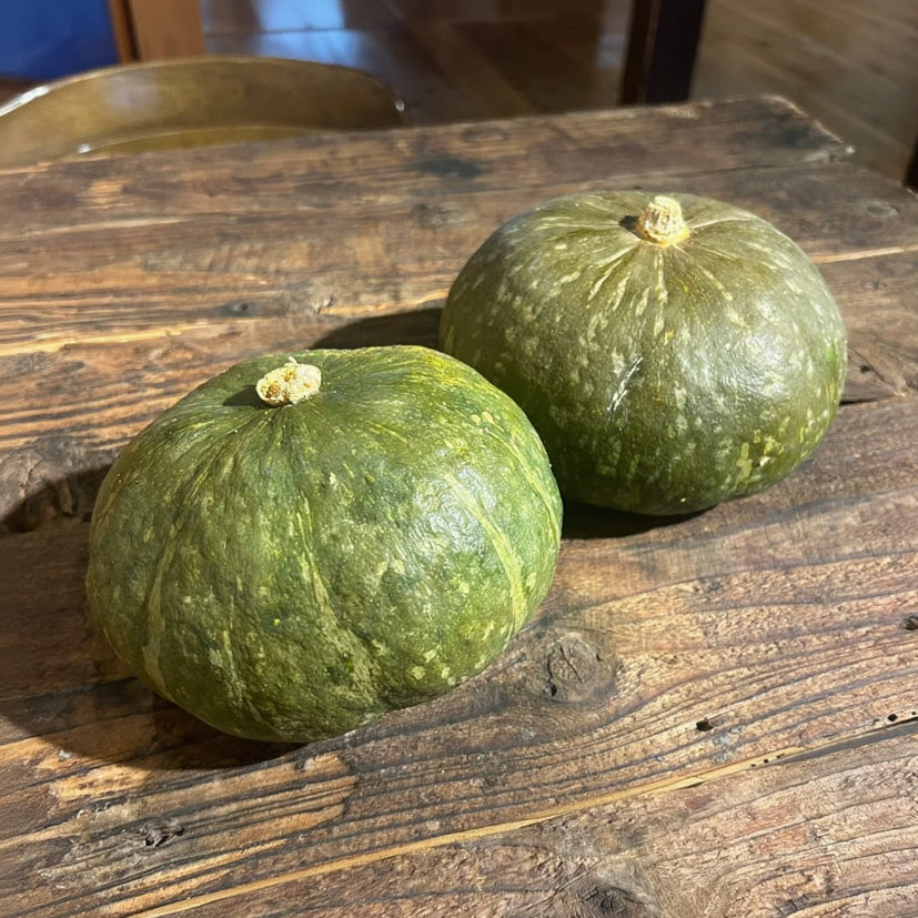 Naturally grown pumpkin (by Sakata)