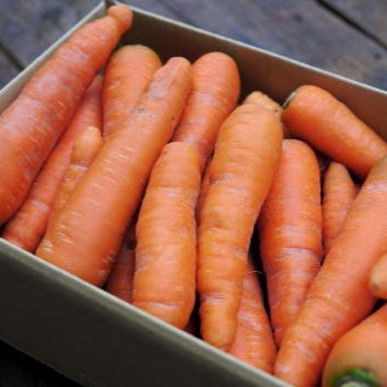 Limited quantity Naturally grown carrots (Ueno-san)