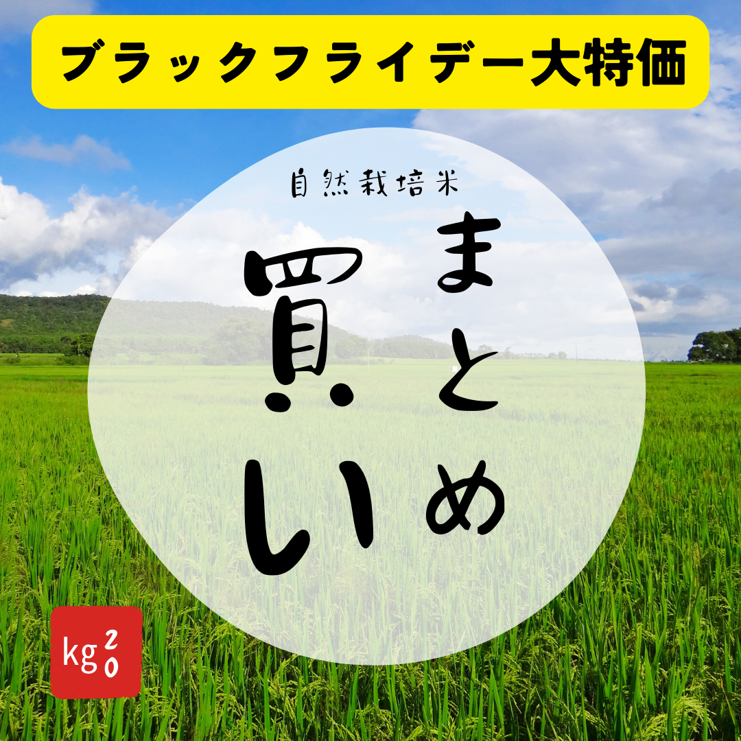 お米まとめ買い「新米食べてねセット」(ブラックフライデー大特価)