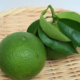 【数量限定】自然栽培 かぼす(にしだ果樹園)