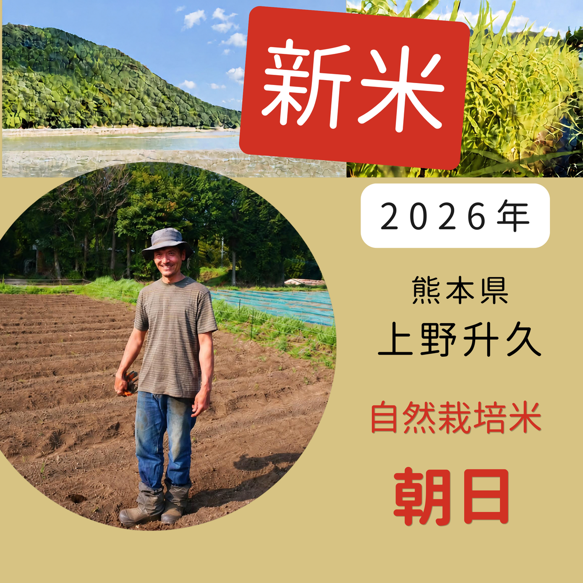 ◎【2026年米】自然栽培米 朝日 (上野升久さん)