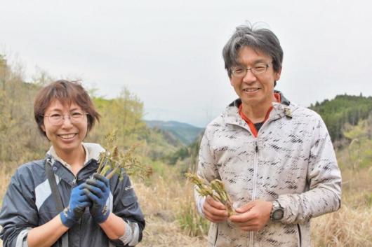 原木生椎茸(しいたけ) (原田さん)