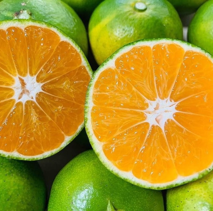 宗さんの自然栽培極早生みかん