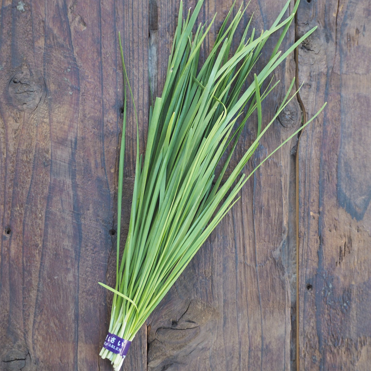 Naturally grown Chinese chives (Ueno-san)