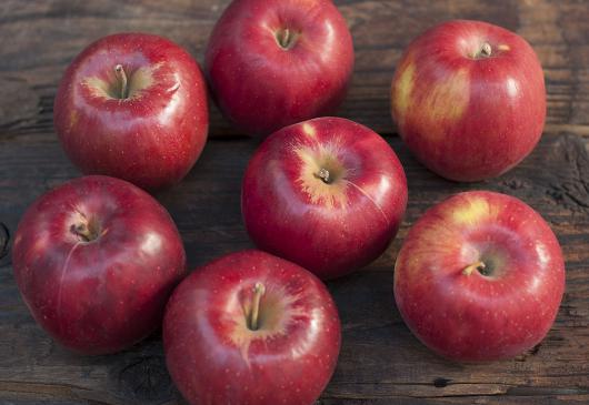 減農薬・無化学肥料栽培リンゴ:紅玉 6個入り