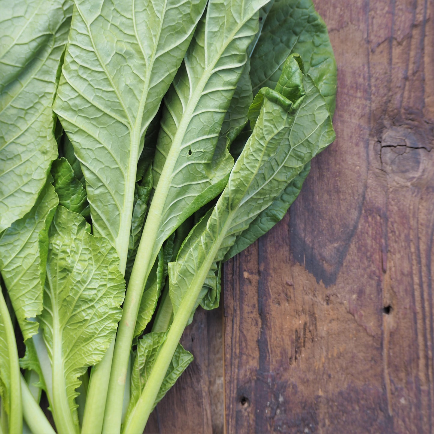 自然栽培小松菜(坂田さん)