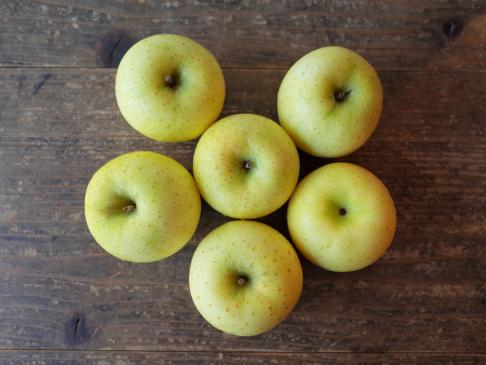 減農薬・無化学肥料栽培リンゴ:黄王 6個入り