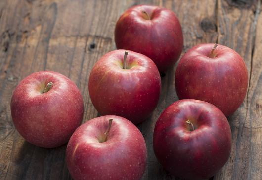 減農薬・無化学肥料栽培リンゴ:ジョナゴールド 6玉入り