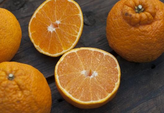 Naturally grown Shiranui