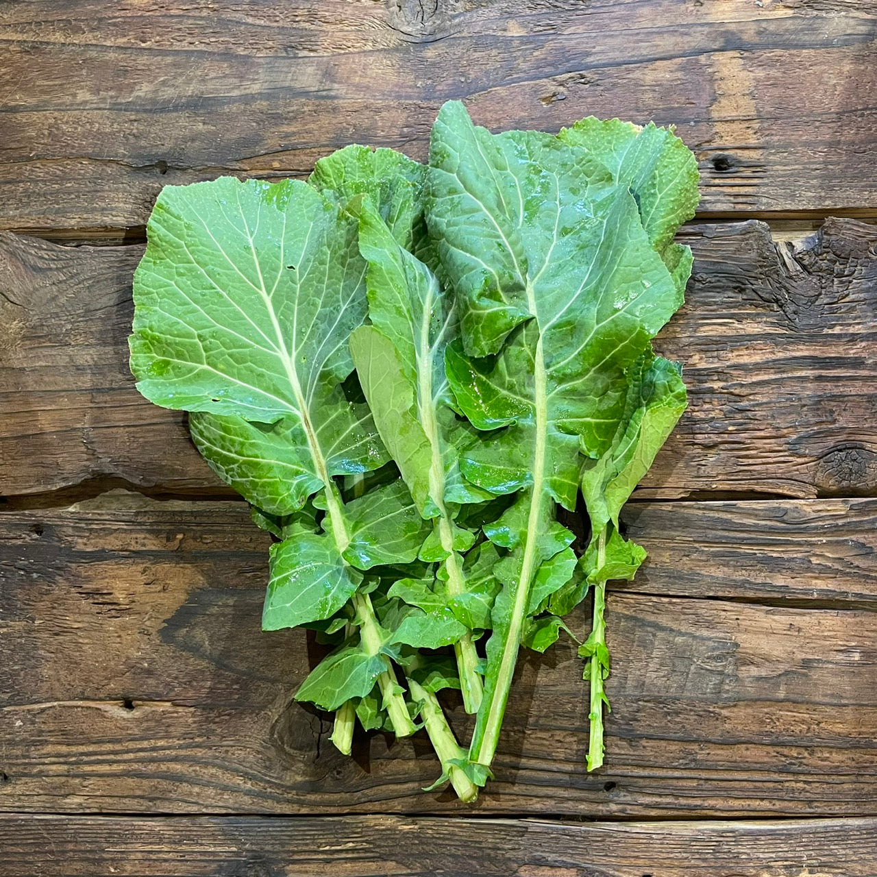 自然栽培のらぼう菜(坂田さん)