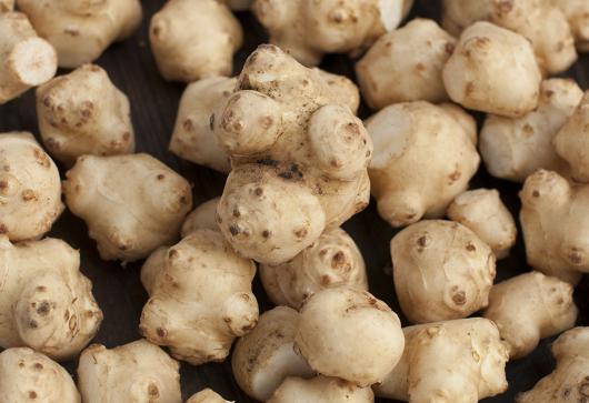 自然栽培菊芋(平山さん)