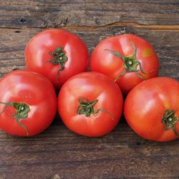 有機栽培トマト　500ｇ（肥後あゆみの会）