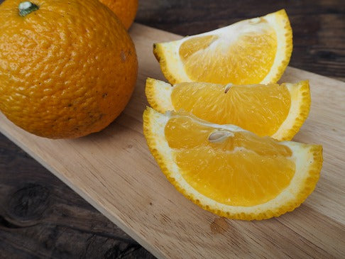 自然栽培スイートスプリング(福島さん)