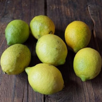 自然栽培レモン(福島さん)