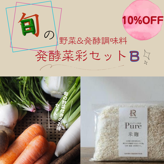 (10％OFF)発酵菜彩セットB