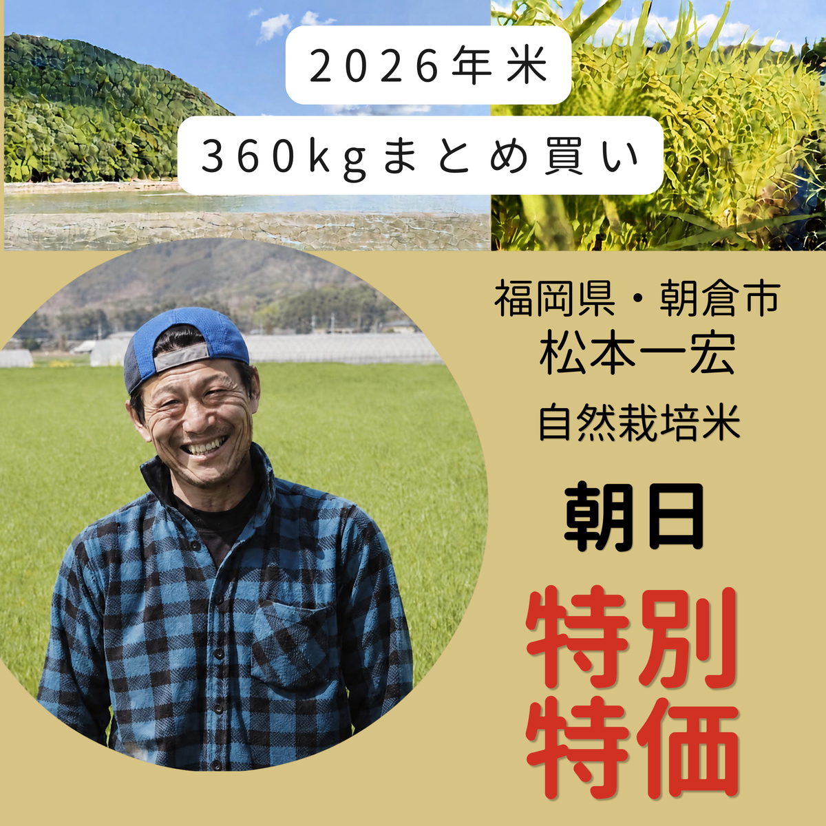 [2023 New Rice Harvest - Up to 60,000 yen off!!!] Ueno Matsutoshi's Naturally Grown Rice "Hinohikari" Brown Rice 360kg