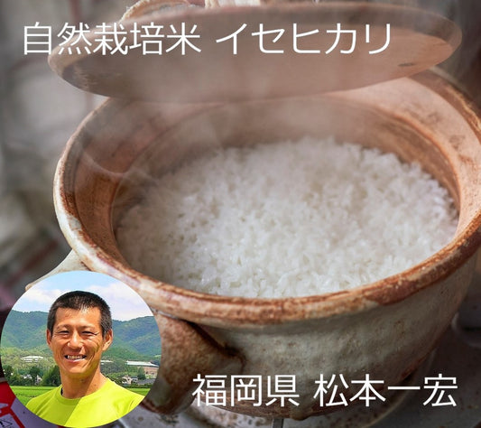 ★ [2023 Rice] Naturally grown Ise Hikari rice by Kazuhiro Matsumoto