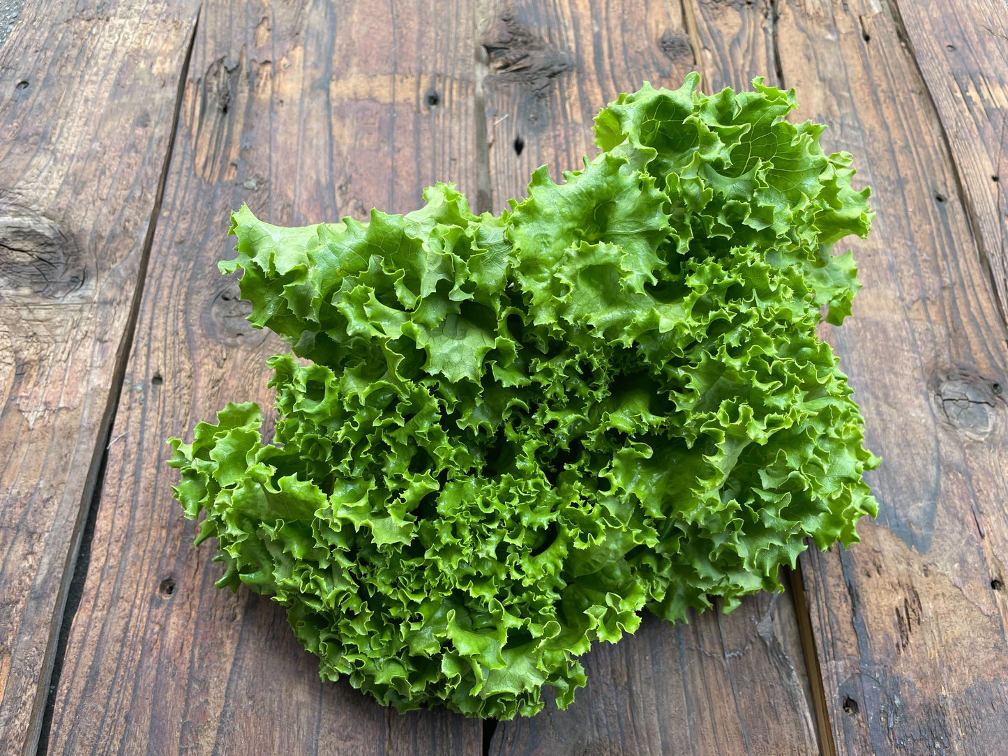 Naturally grown green leaf