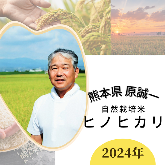 ★ [2023 Rice] Seiichi Hara's Naturally Grown Hinohikari Rice