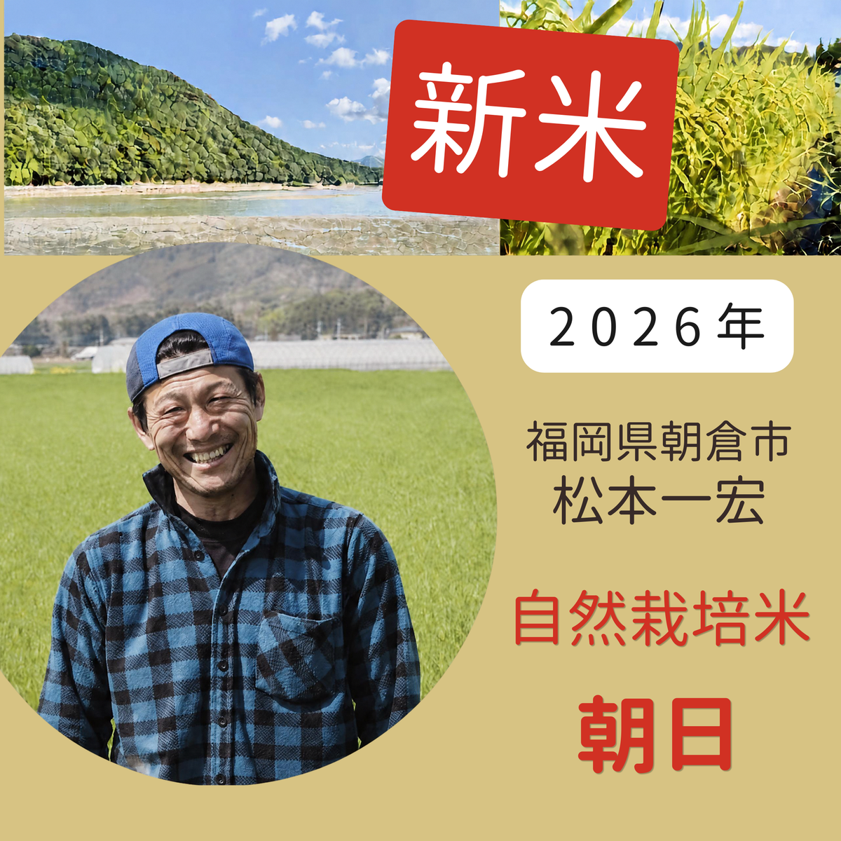 ◎【2026年米】自然栽培米 朝日（松本一宏さん)
