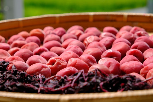 [10% off for advance reservations only] Umeboshi set (1kg of fertilizer-free, pesticide-free green plums/1 bunch of naturally grown red shiso) 