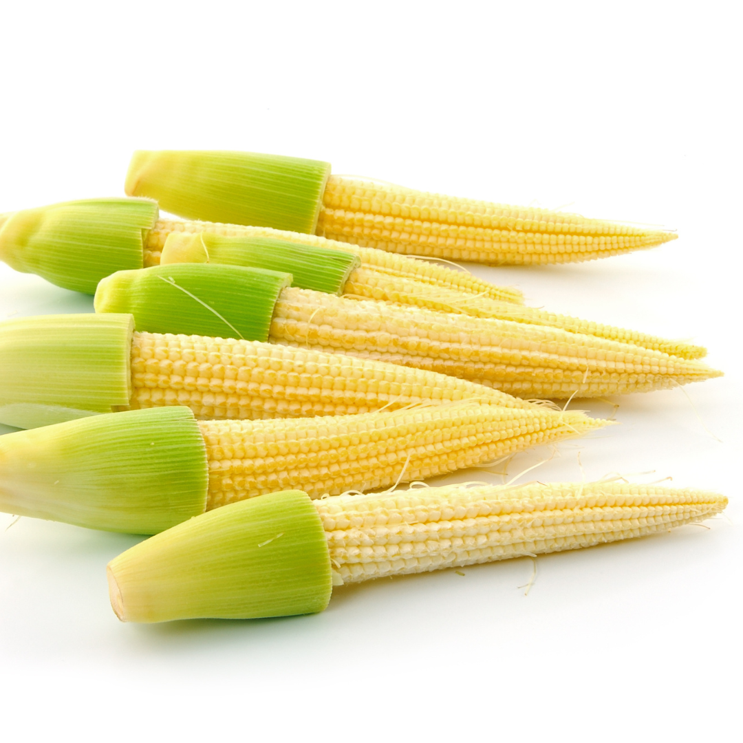 [Shipped 6/24] Sweet corn grown without pesticides or fertilizers