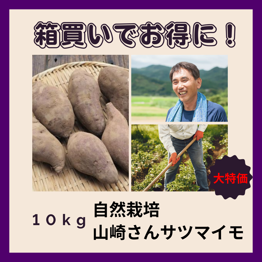 【箱買い】自然栽培　さつまいも（山崎さん）