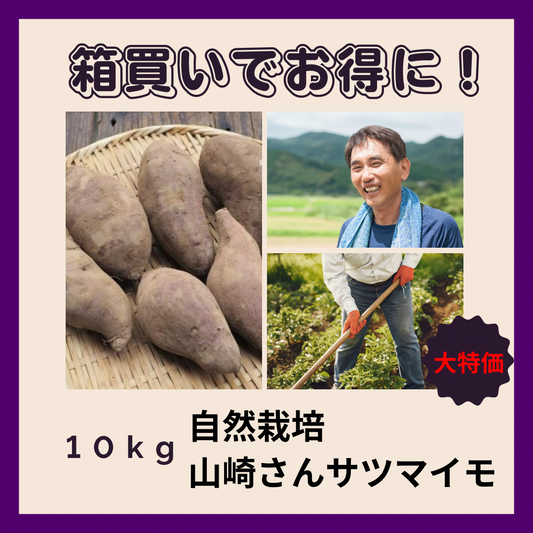 【箱買い】自然栽培　さつまいも（山崎さん）