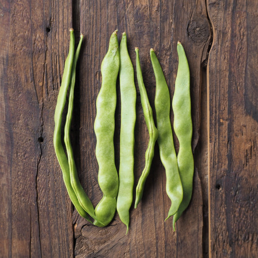 Naturally grown jumbo beans (Ueno-san)