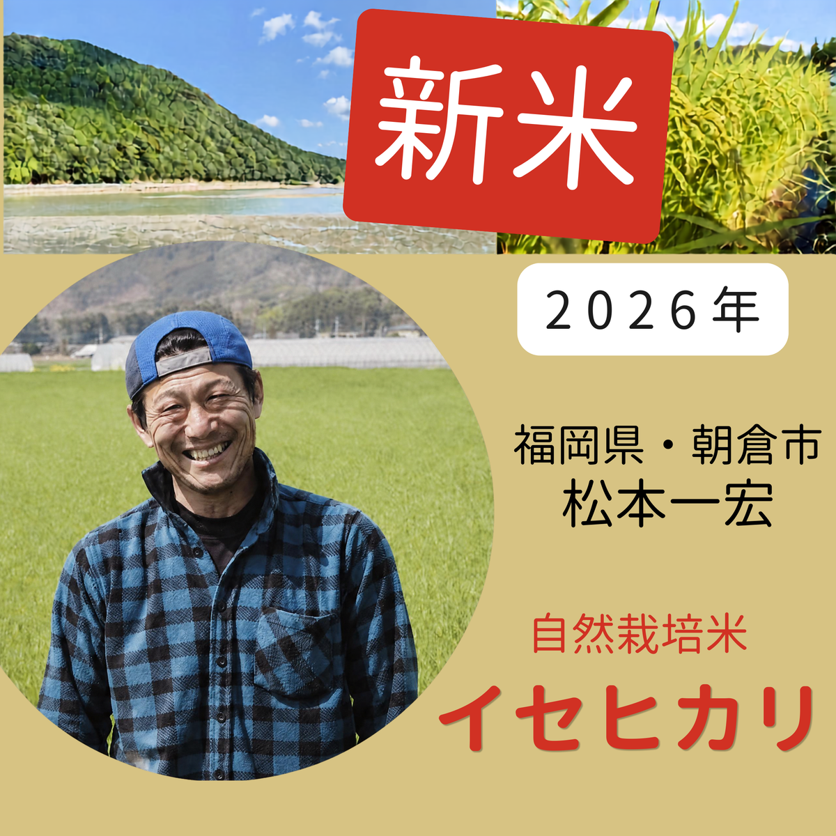 ◎【2026年米】自然栽培米イセヒカリ（松本一宏さん）