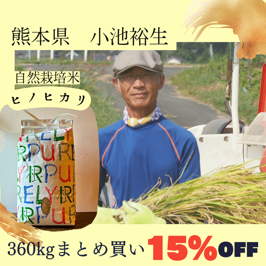 【2024年度産新米・最大6万円引き!!!】小池祐生さん　自然栽培米ヒノヒカリ　玄米360kg