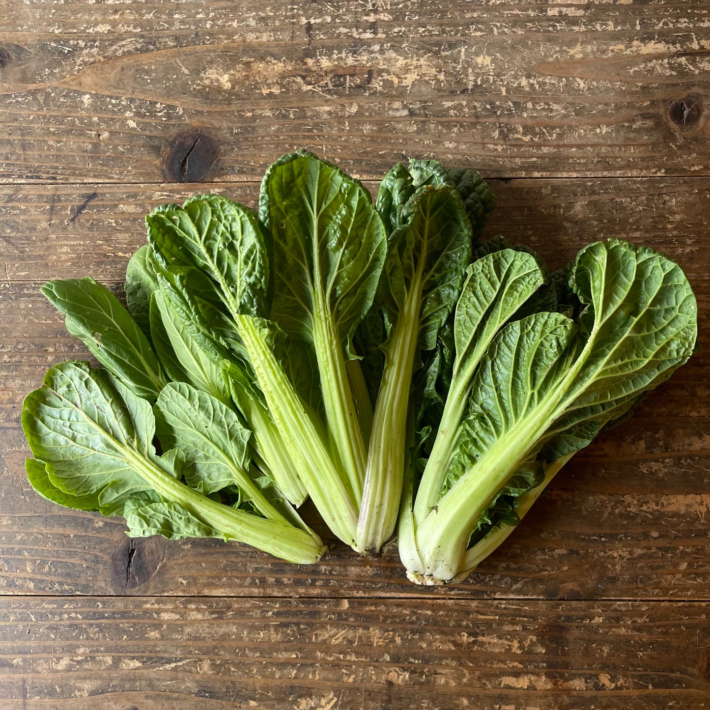 自然栽培べんり菜（上野さん）