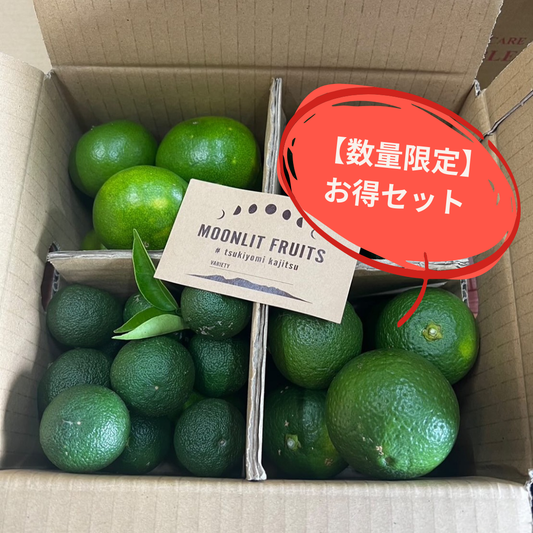 【数量限定商品】自然栽培　グリーンシトラス3種詰め合わせ