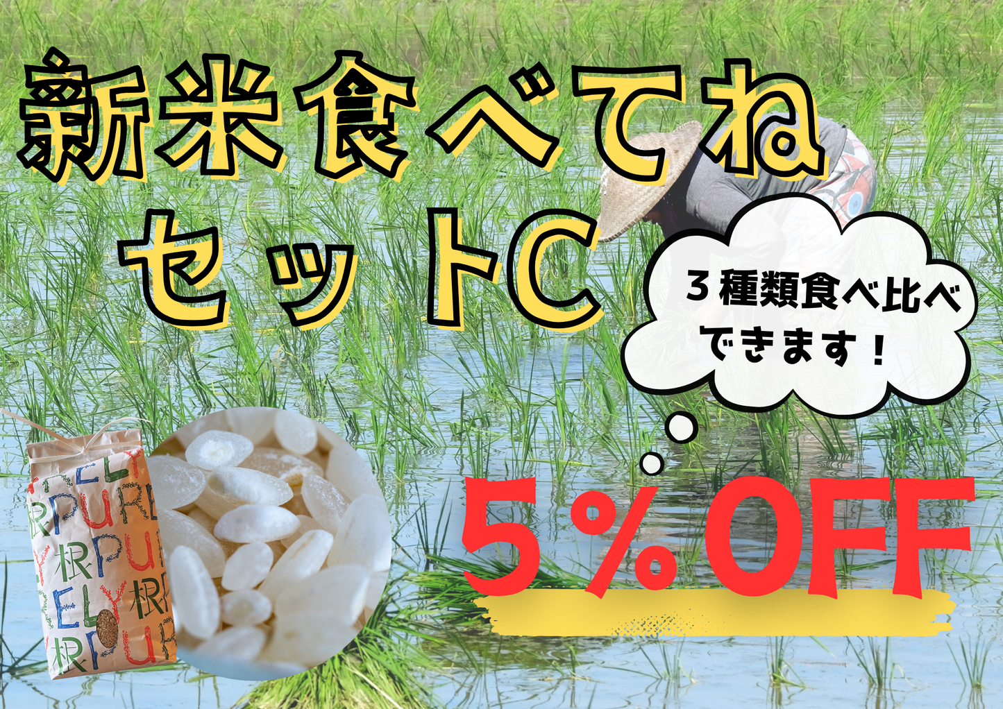 お米まとめ買い「新米食べてねセットC」