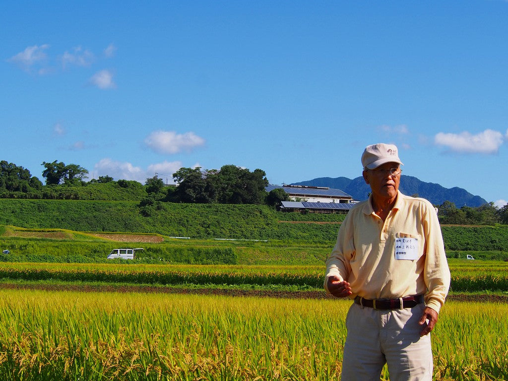 ◎【2025年米】上野松年さん　自然栽培米ヒノヒカリ（通常販売用）