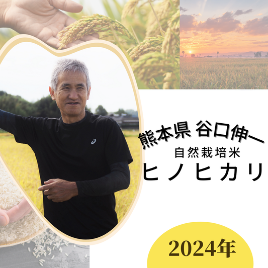 ★ [2023 Rice] Shinichi Taniguchi's Naturally Grown Hinohikari Rice