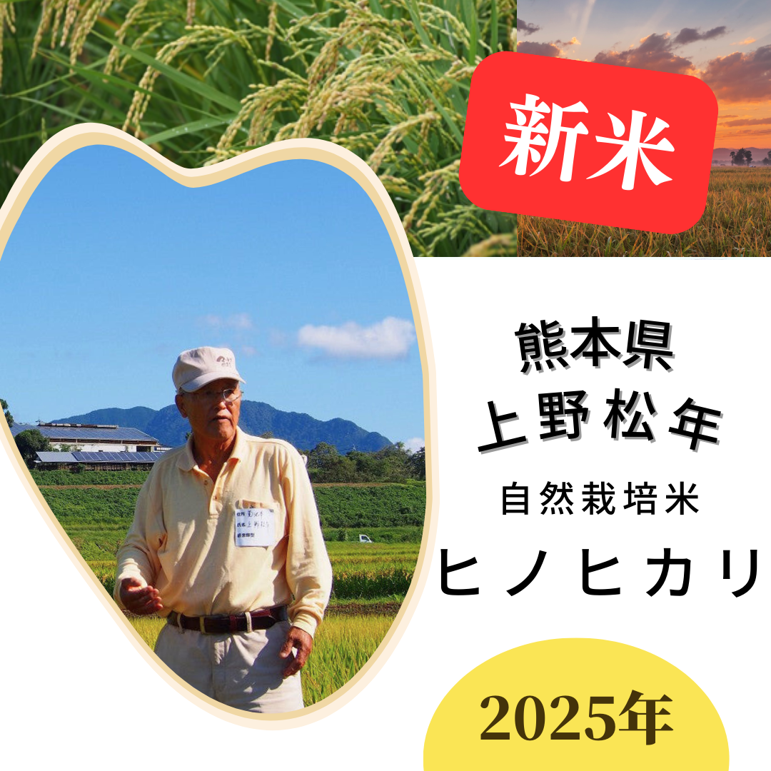 ◎【2025年米】上野松年さん　自然栽培米ヒノヒカリ（通常販売用）